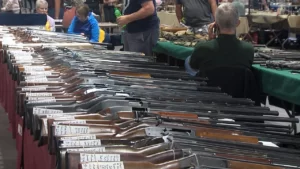 Lisle Gun & Knife Show