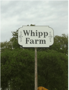 Whipp Farm’s Azle Gun Show
