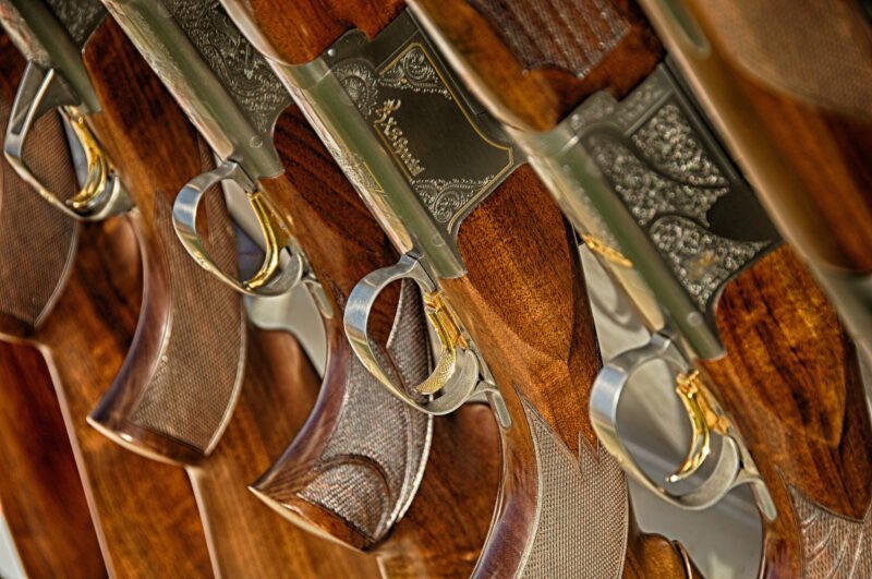Edmore Gun & Knife Show
