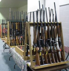 Canton Gun Show