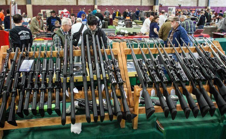PRGC Portage Gun Show